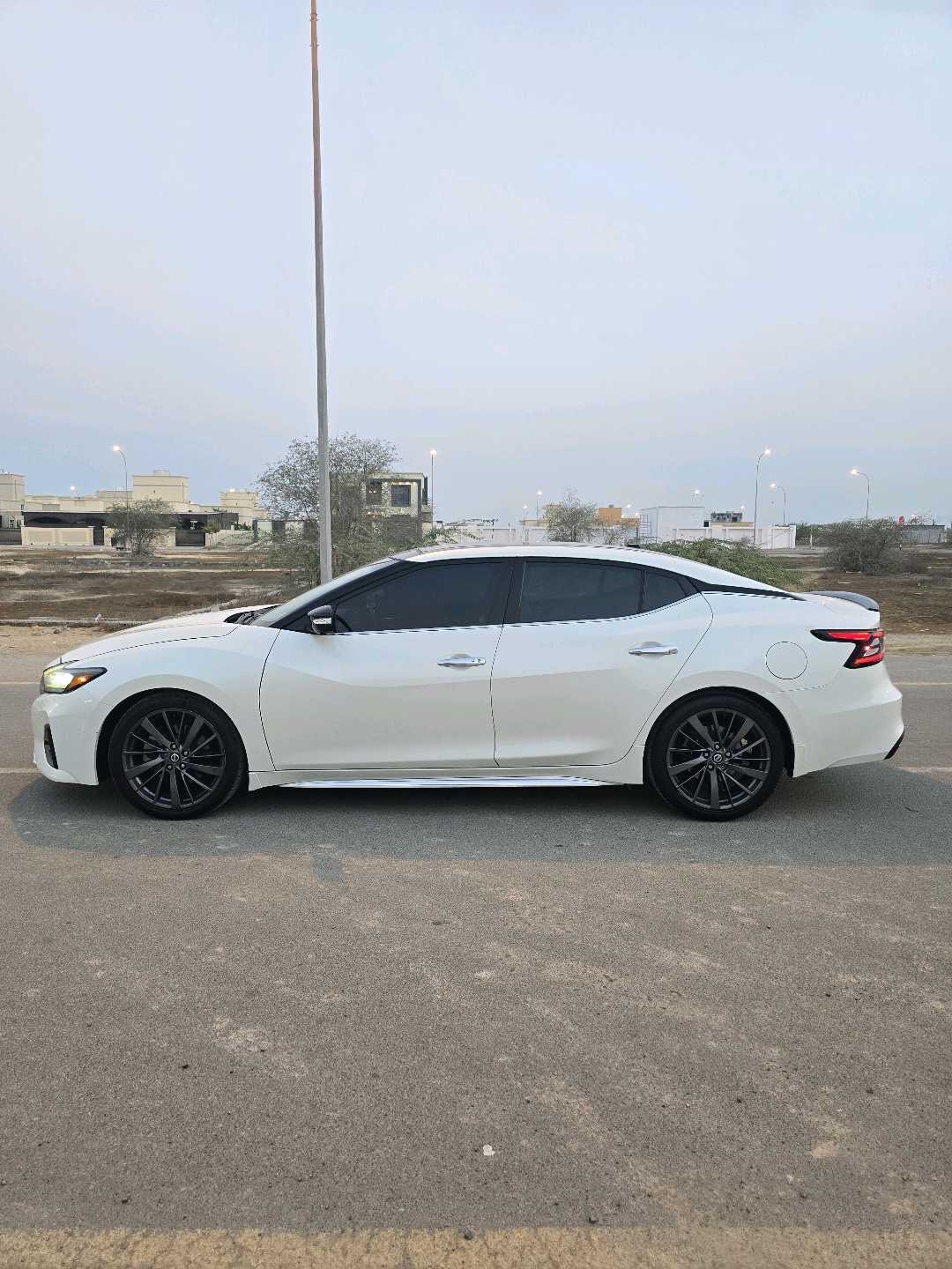 2019 Nissan Maxima Platinum thumbnail 17