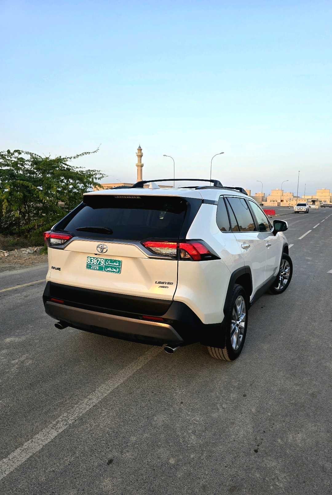 2021 Toyota Rav4 Limited thumbnail 6