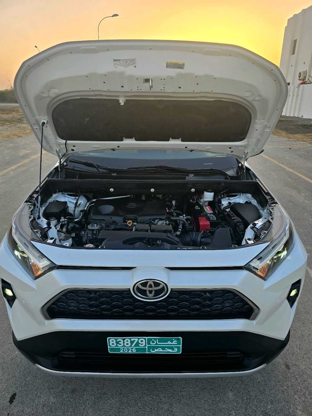2021 Toyota Rav4 Limited thumbnail 13