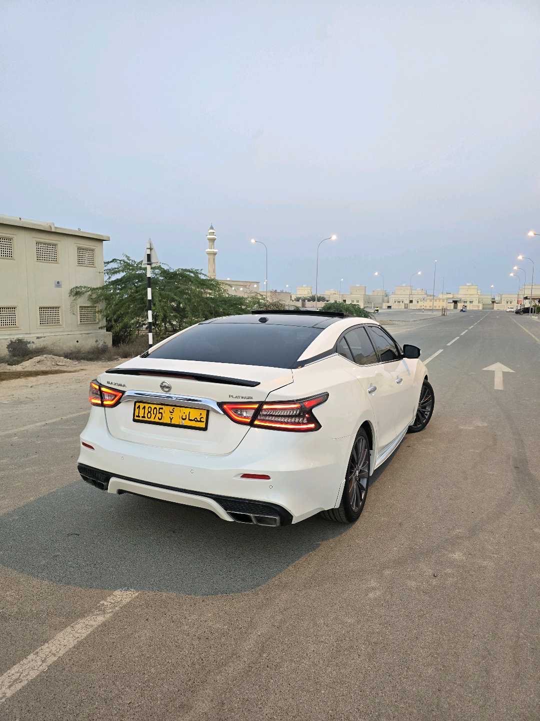 2019 Nissan Maxima Platinum thumbnail 3