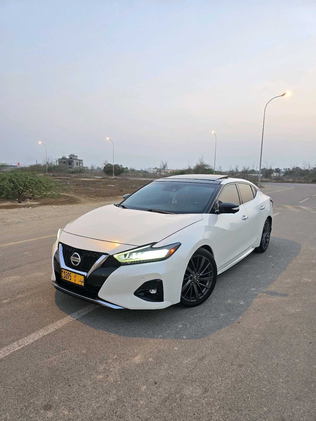 2019 Nissan Maxima Platinum thumbnail 7