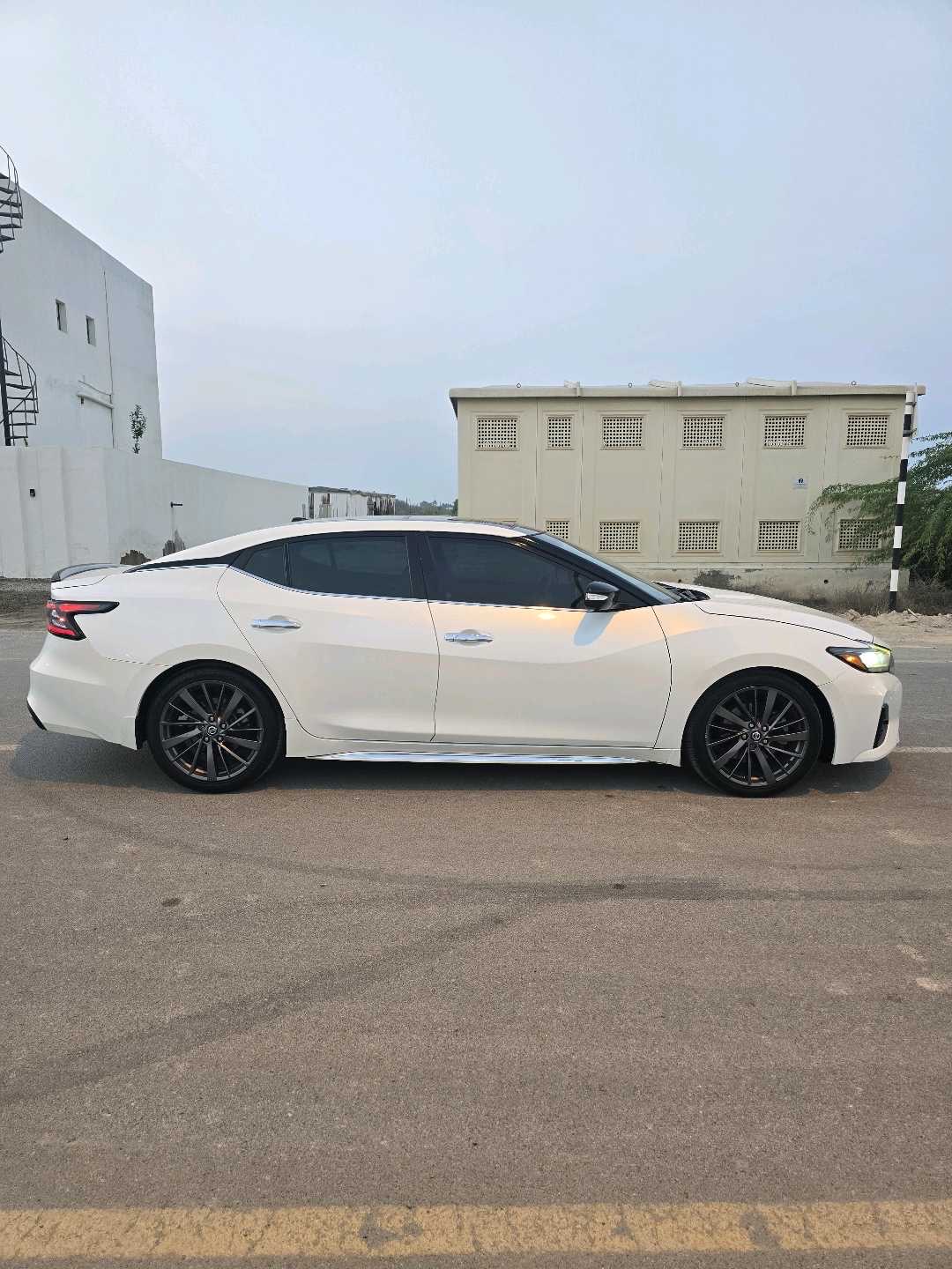 2019 Nissan Maxima Platinum thumbnail 14