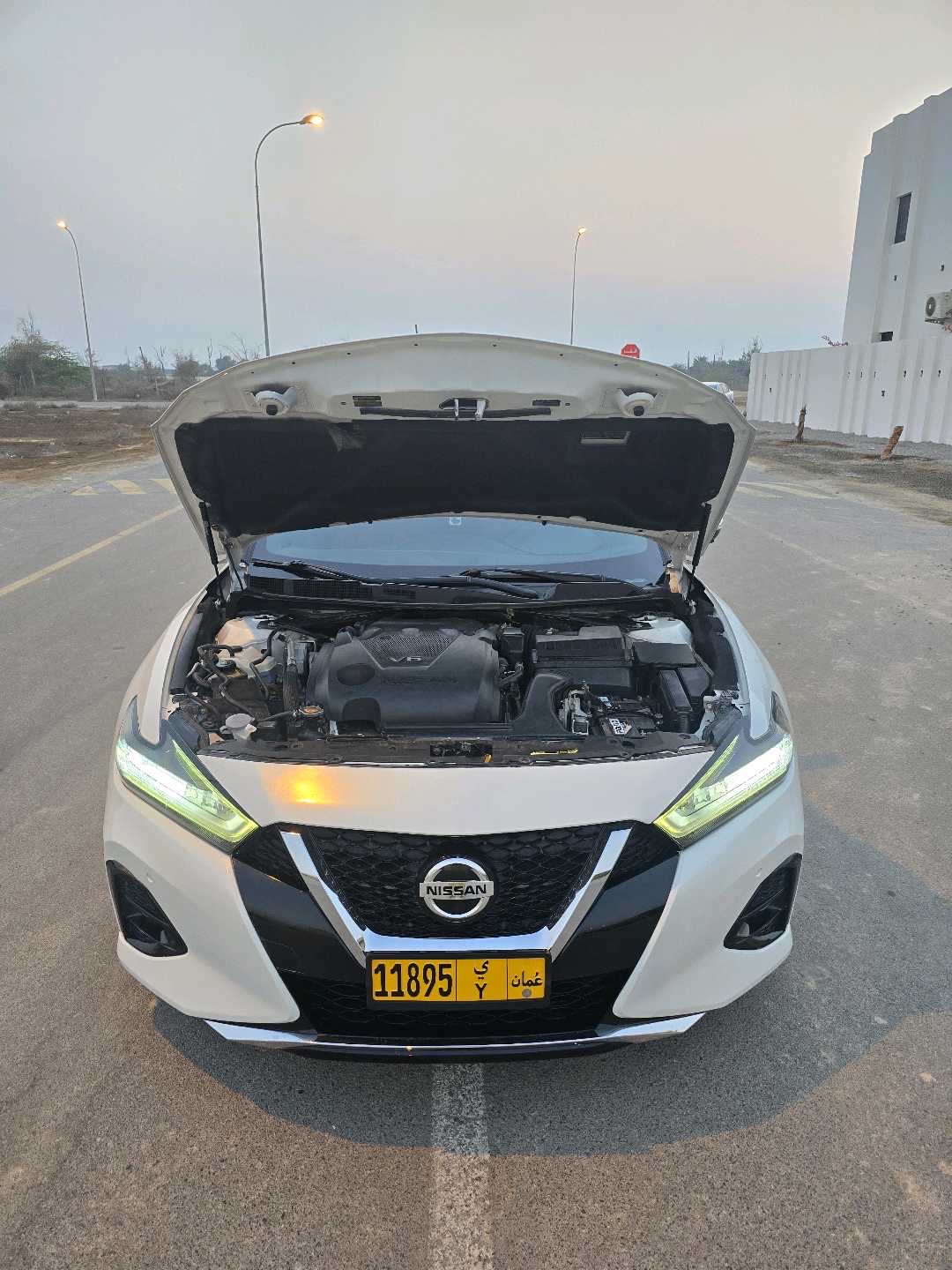 2019 Nissan Maxima Platinum thumbnail 17