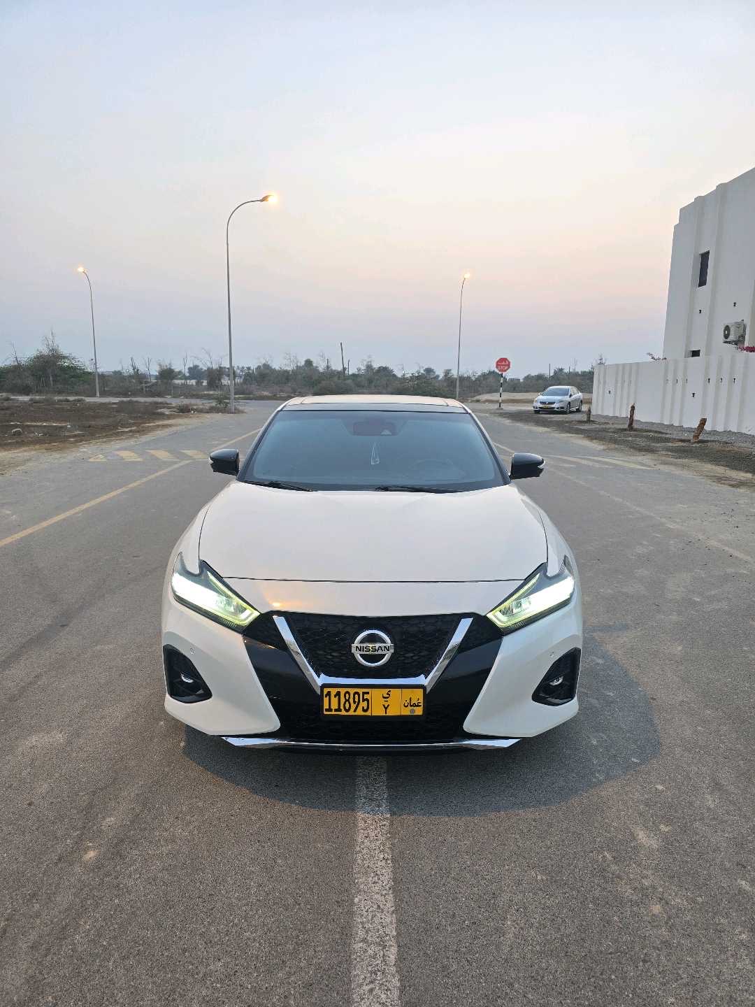 2019 Nissan Maxima Platinum thumbnail 18