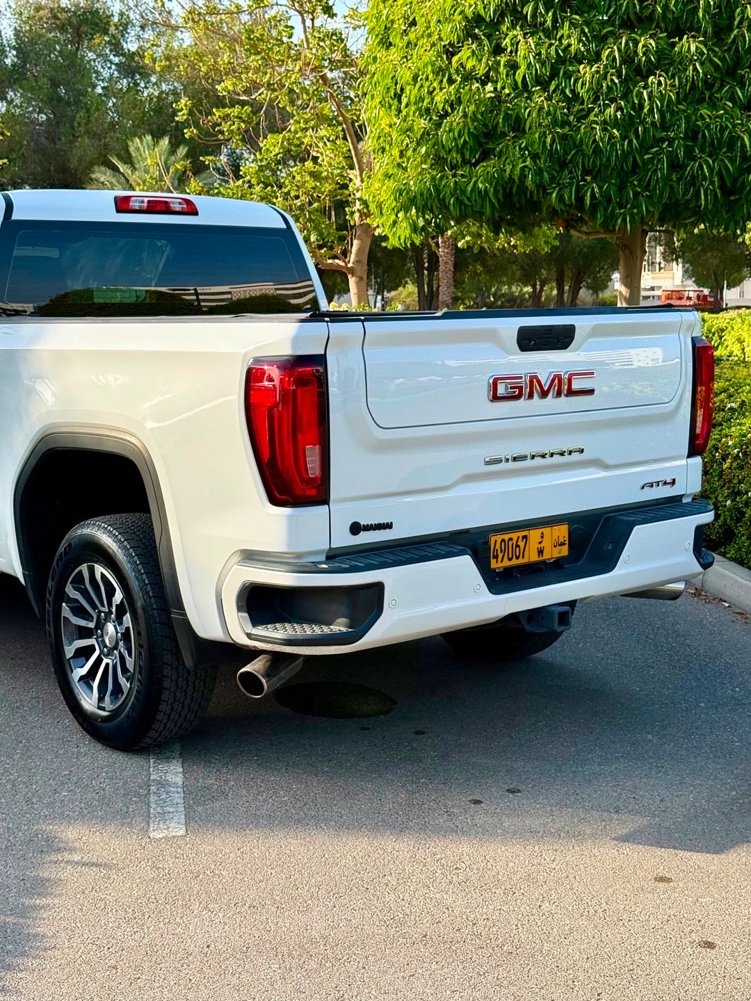 2019 GMC Sierra AT4 thumbnail 3