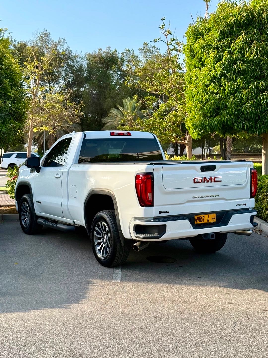 2019 GMC Sierra AT4 thumbnail 5