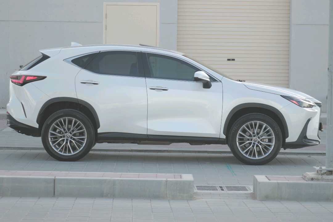 2023 Lexus NX 350 thumbnail 5