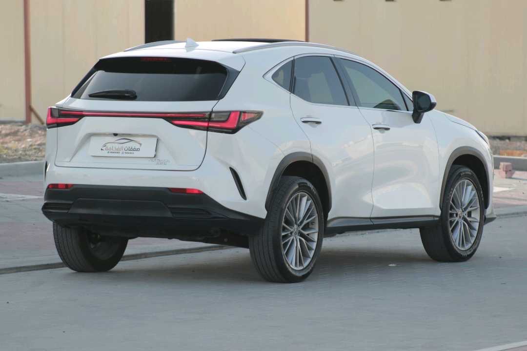 2023 Lexus NX 350 thumbnail 10