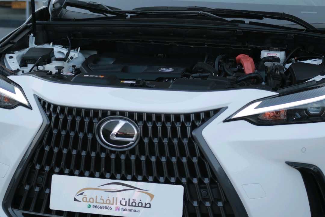 2023 Lexus NX 350 thumbnail 17