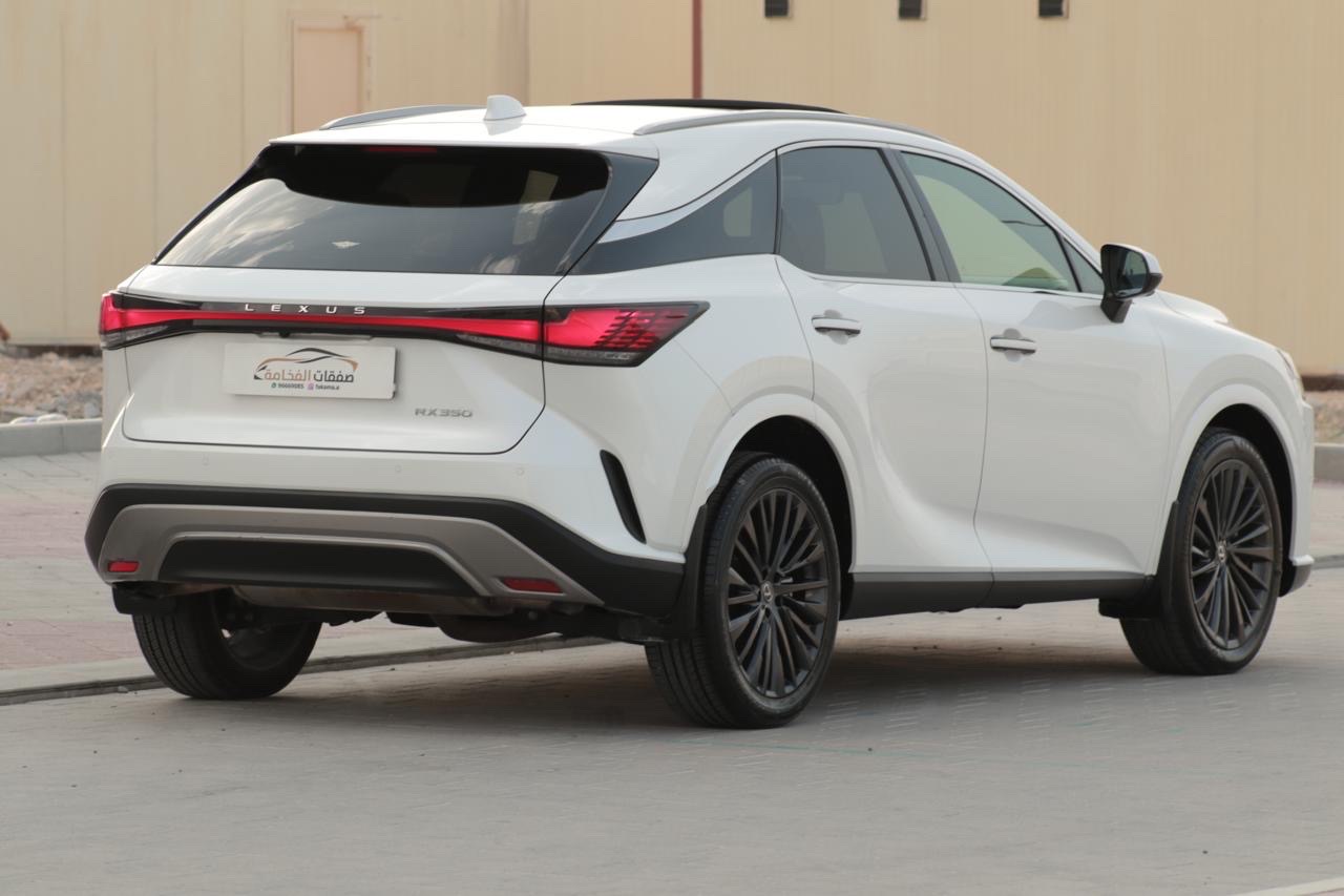 2024 Lexus RX 350 thumbnail 6