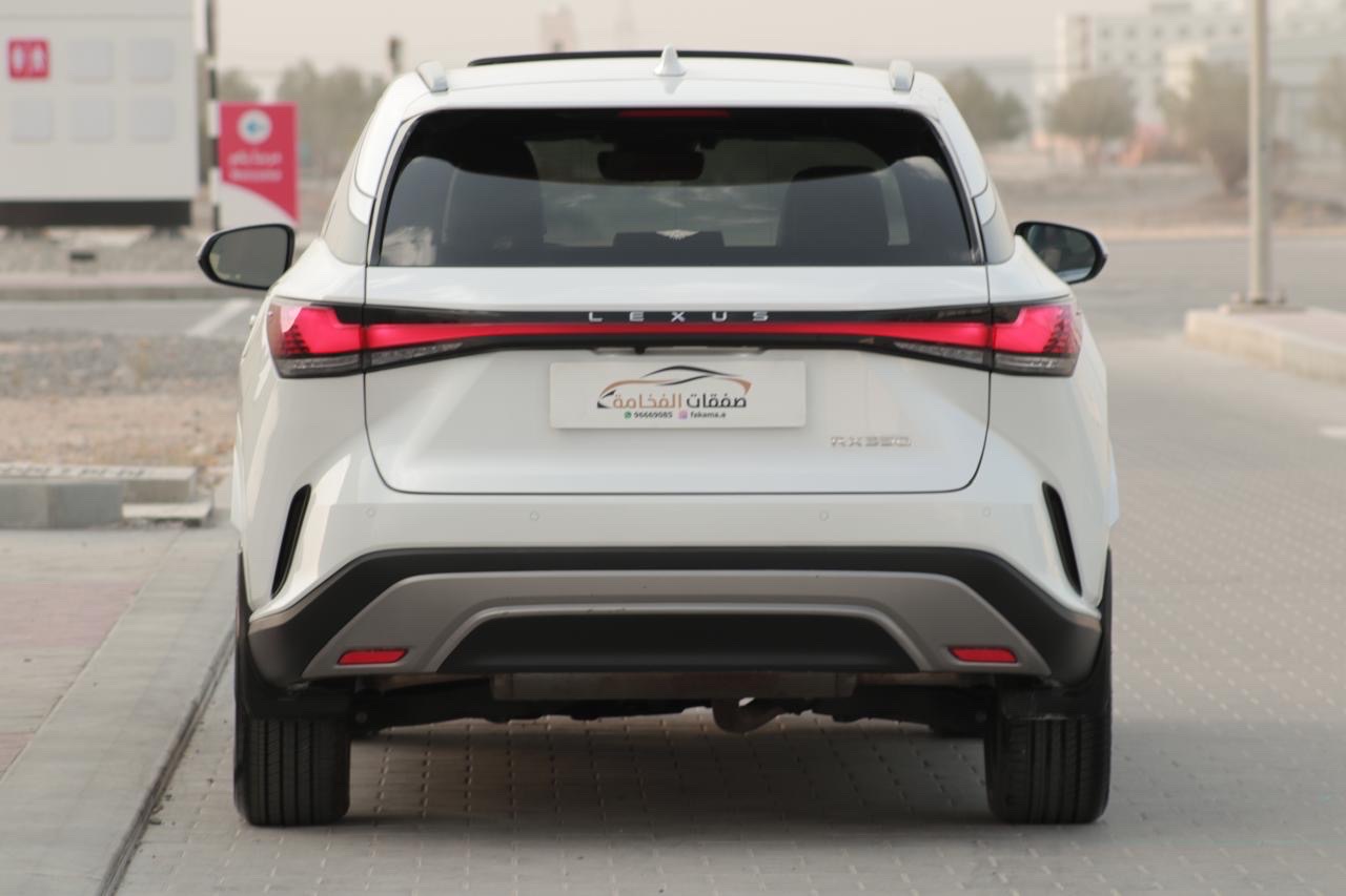 2024 Lexus RX 350 thumbnail 8