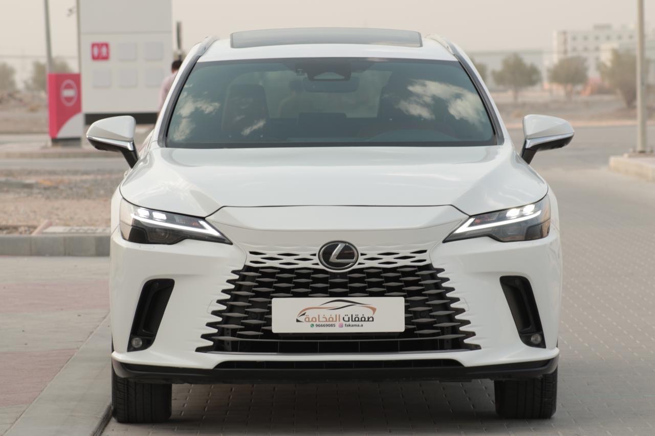 2024 Lexus RX 350 thumbnail 16