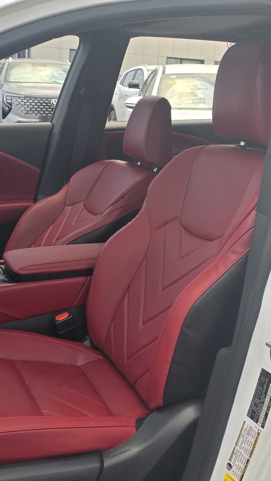 2024 Lexus RX 350 thumbnail 19
