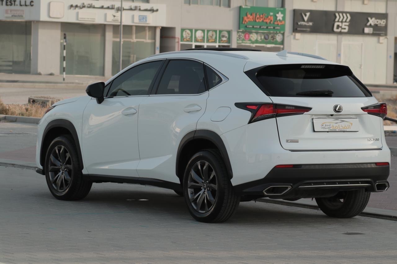 2021 Lexus NX 350 thumbnail 13