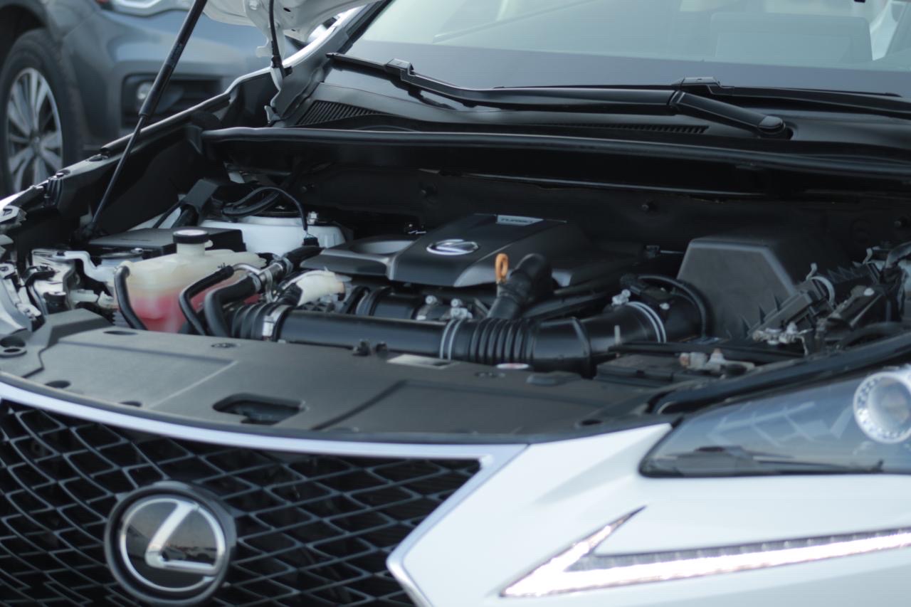 2024 Lexus ES 350 thumbnail 5
