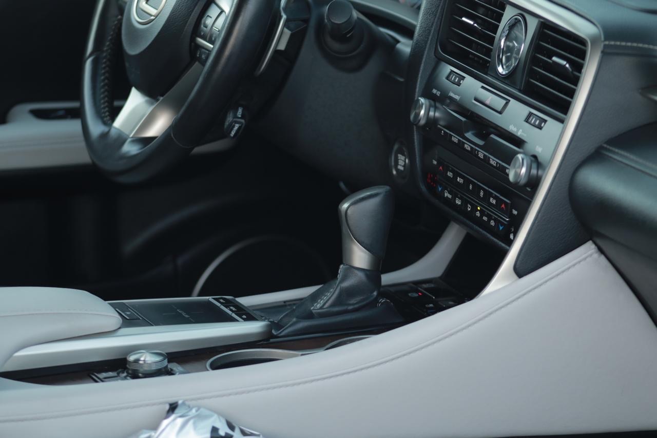 2020 Lexus RX 350 thumbnail 13