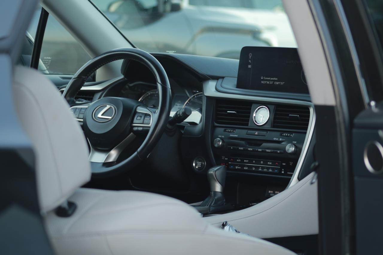 2020 Lexus RX 350 thumbnail 14