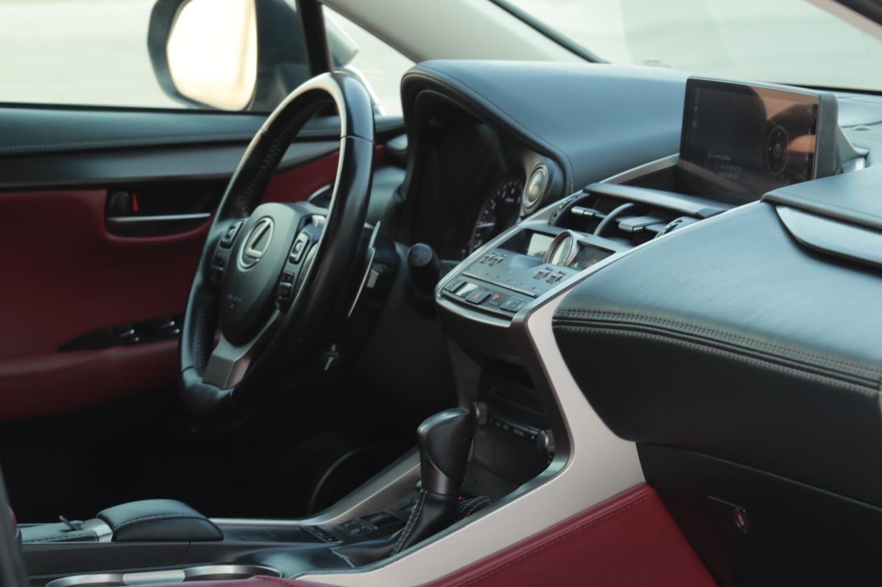 2019 Lexus NX 350 thumbnail 10