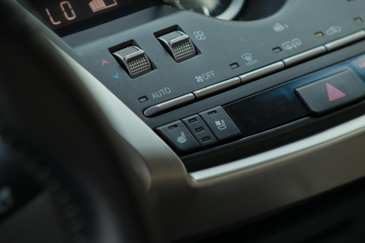2019 Lexus NX 350 thumbnail 7