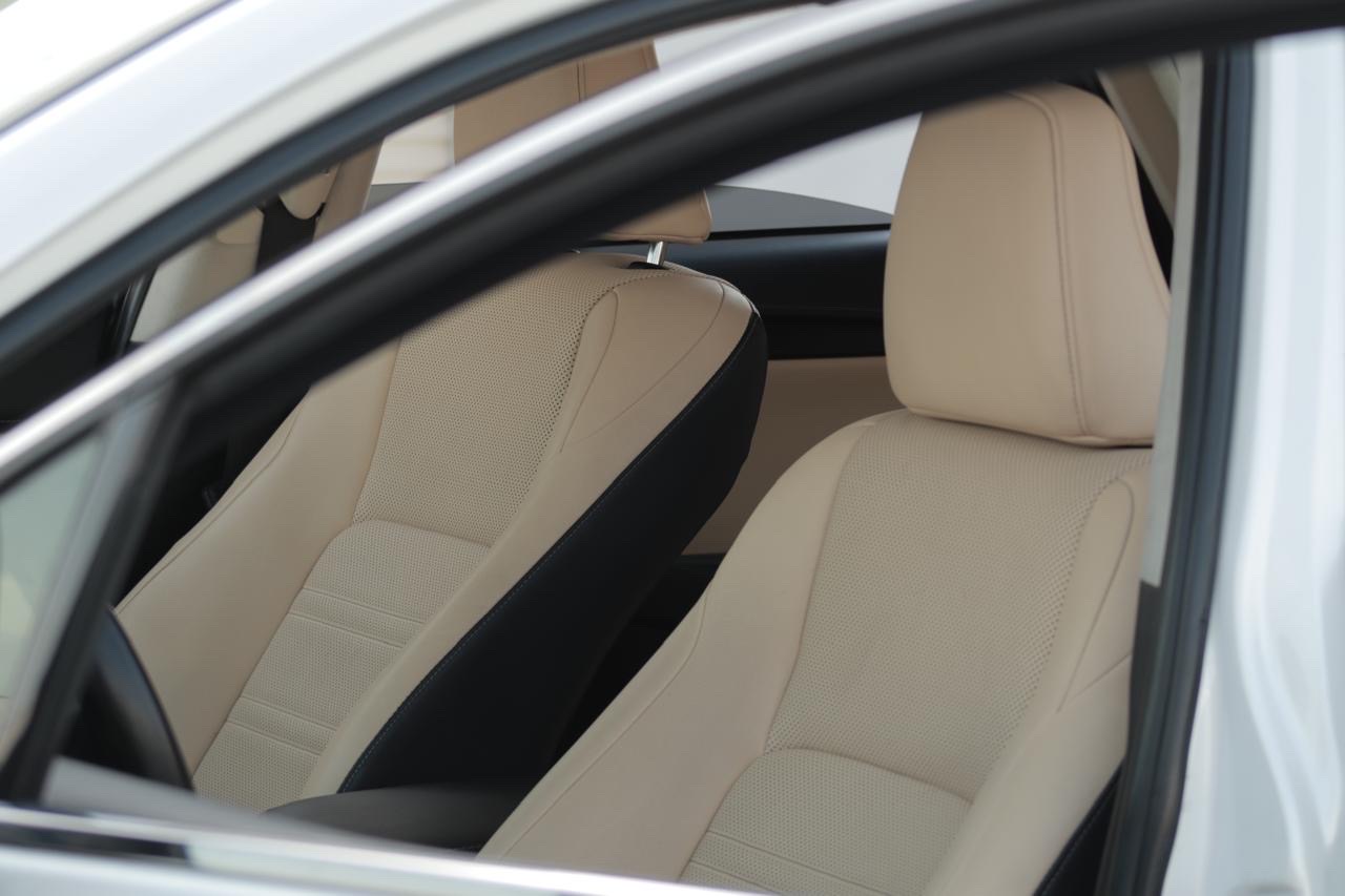 2019 Lexus NX 350 thumbnail 10