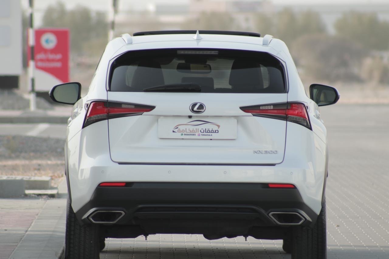 2019 Lexus NX 350 thumbnail 11