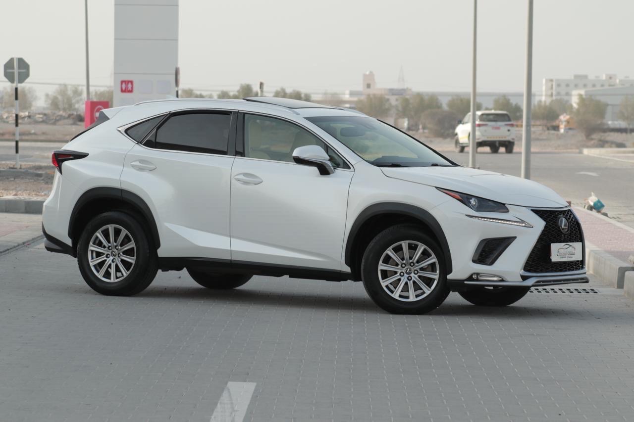 2019 Lexus NX 350 thumbnail 18