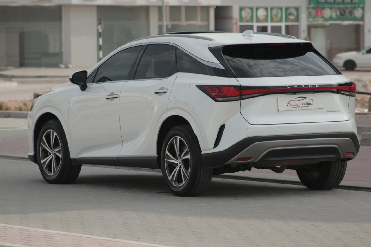 2023 Lexus RX 350 thumbnail 6