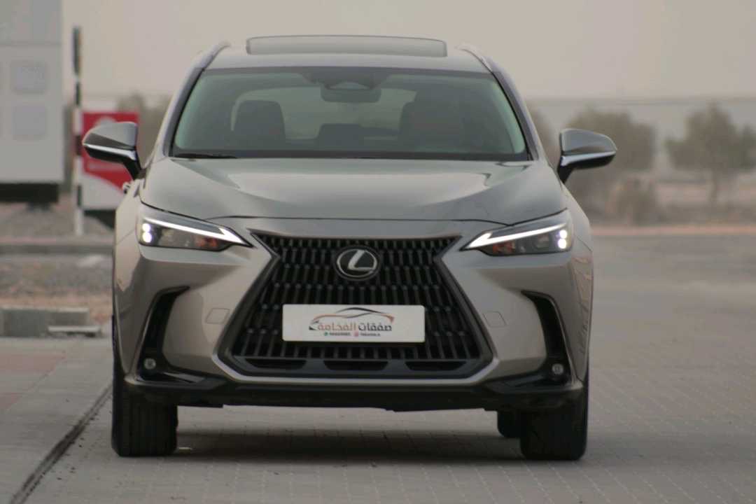 2024 Lexus NX 350 thumbnail 12