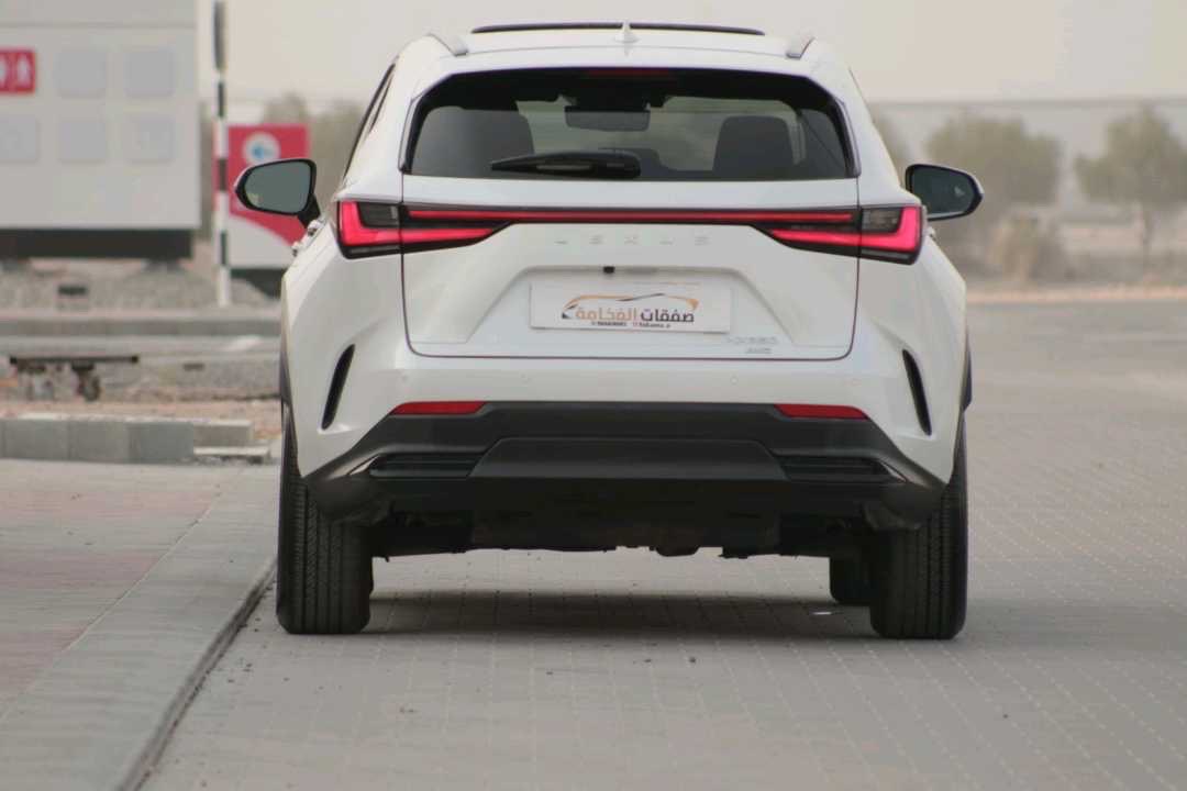 2024 Lexus NX 350 thumbnail 18