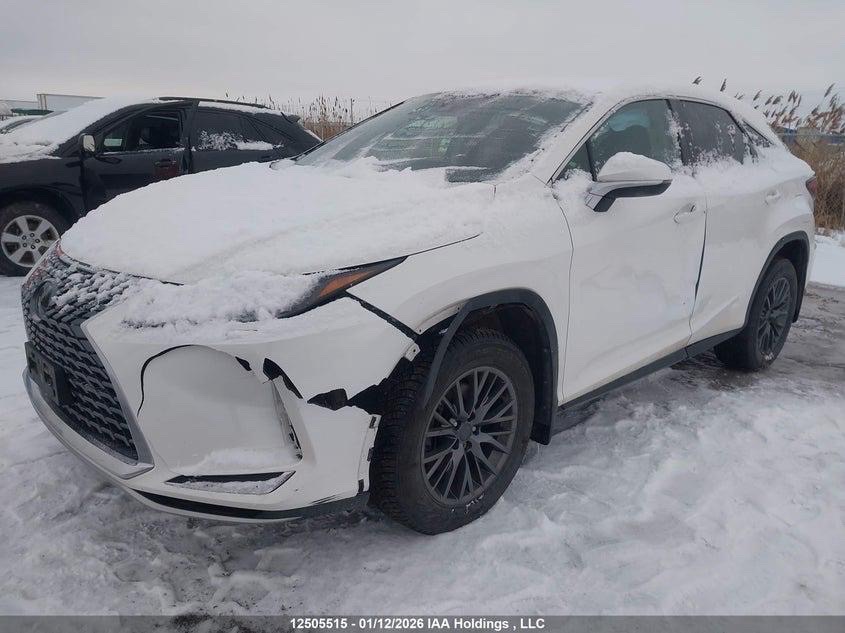 2020 Lexus RX 350 thumbnail 19