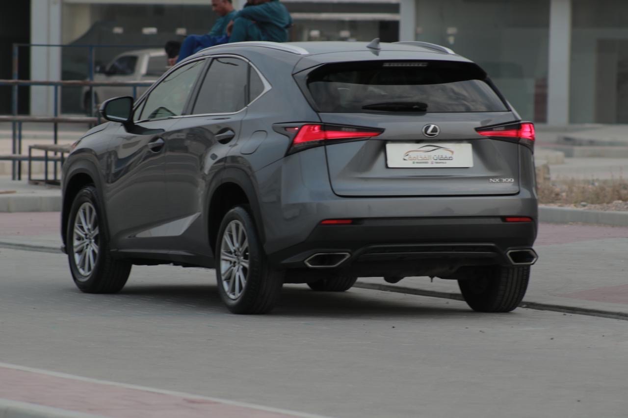 2021 Lexus NX 350 thumbnail 14
