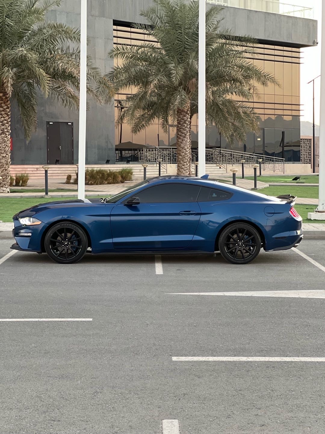 2022 Ford Mustang thumbnail 8