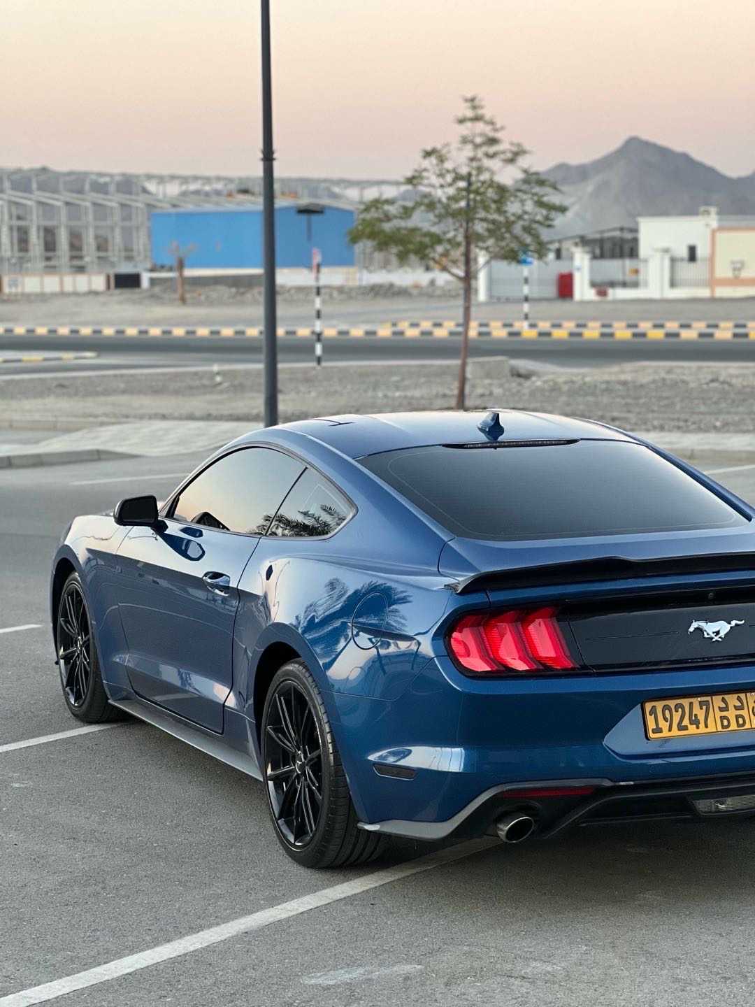 2022 Ford Mustang thumbnail 9