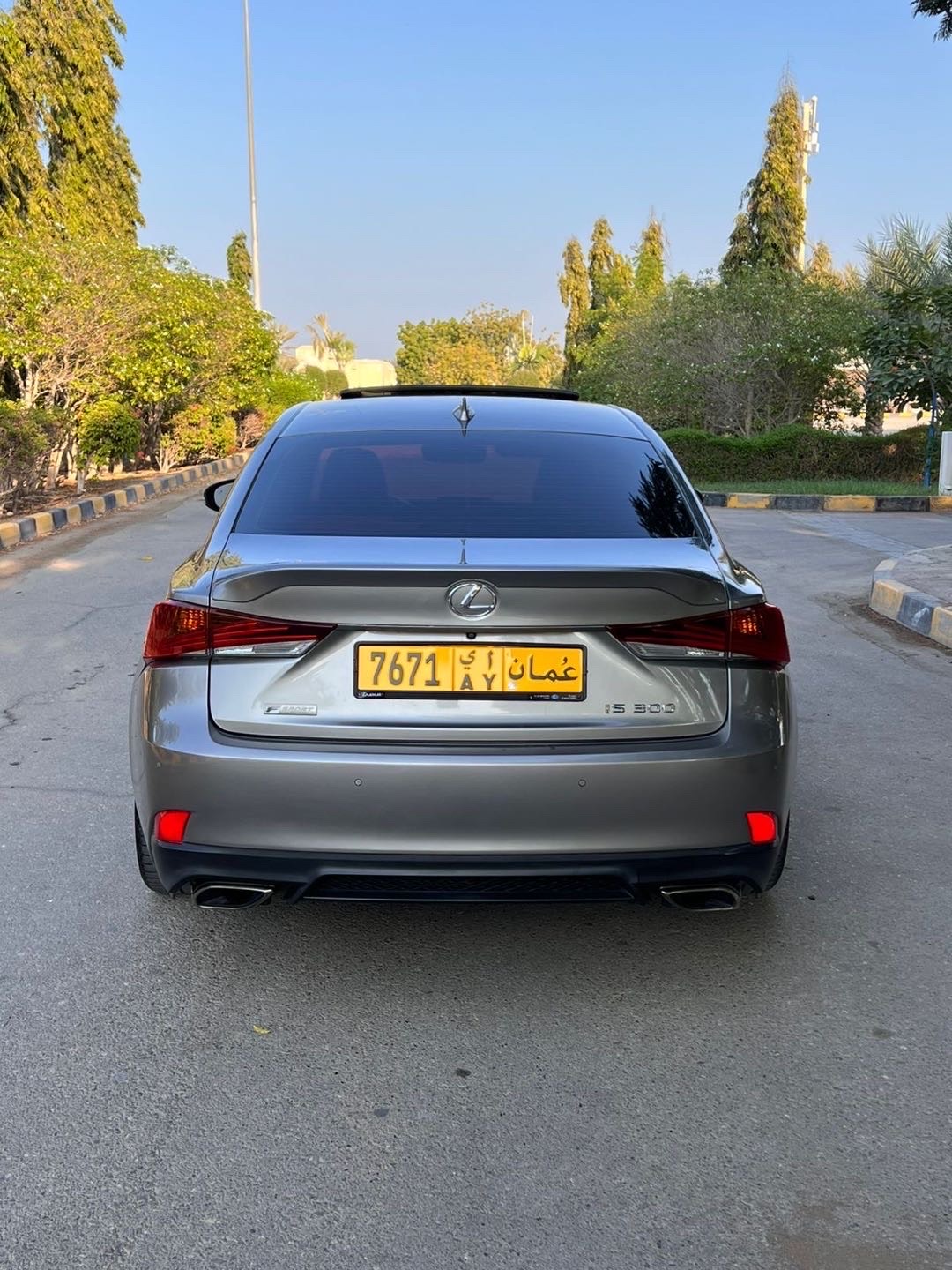 2019 Lexus IS 300 thumbnail 5