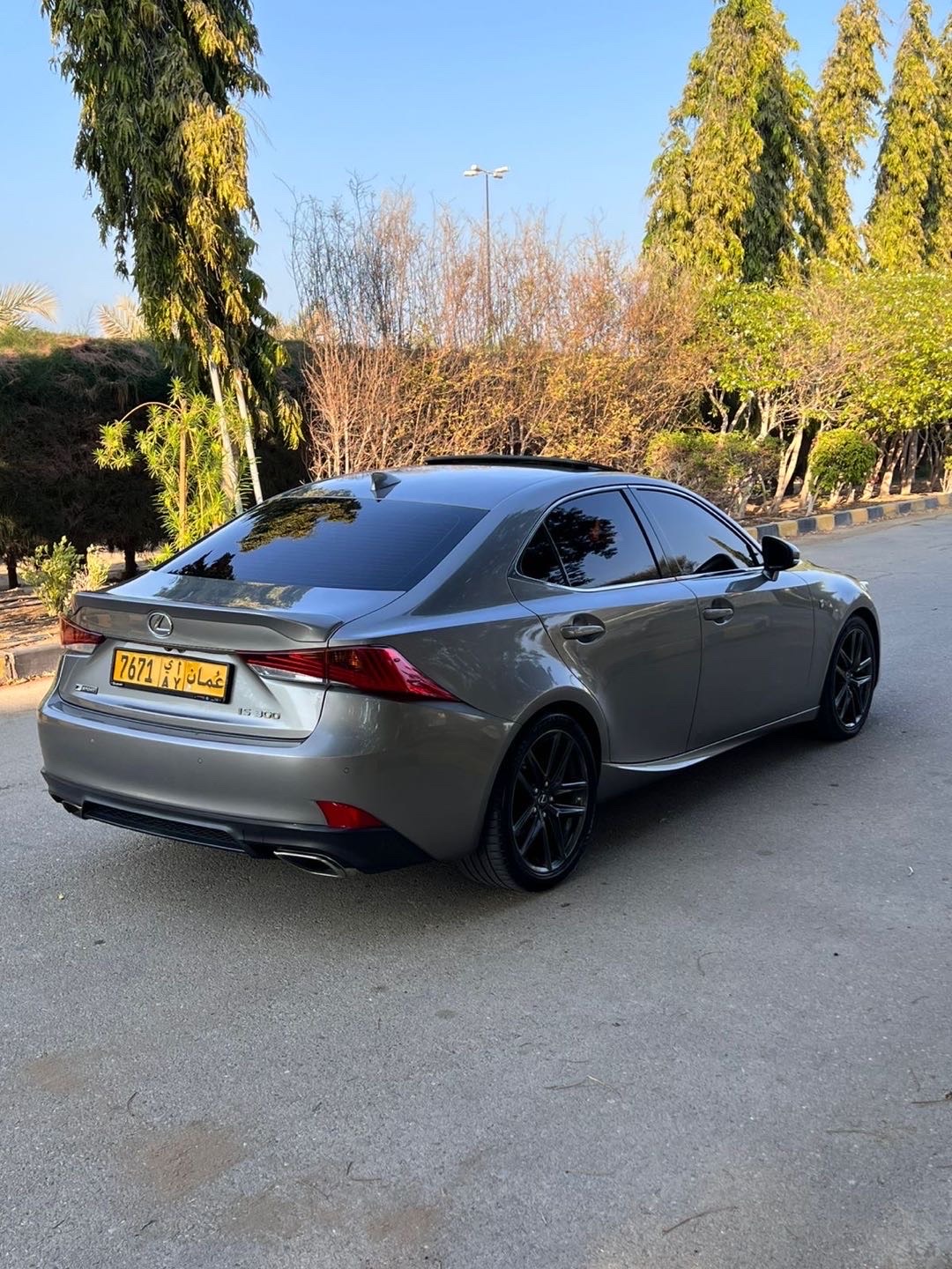 2019 Lexus IS 300 thumbnail 6