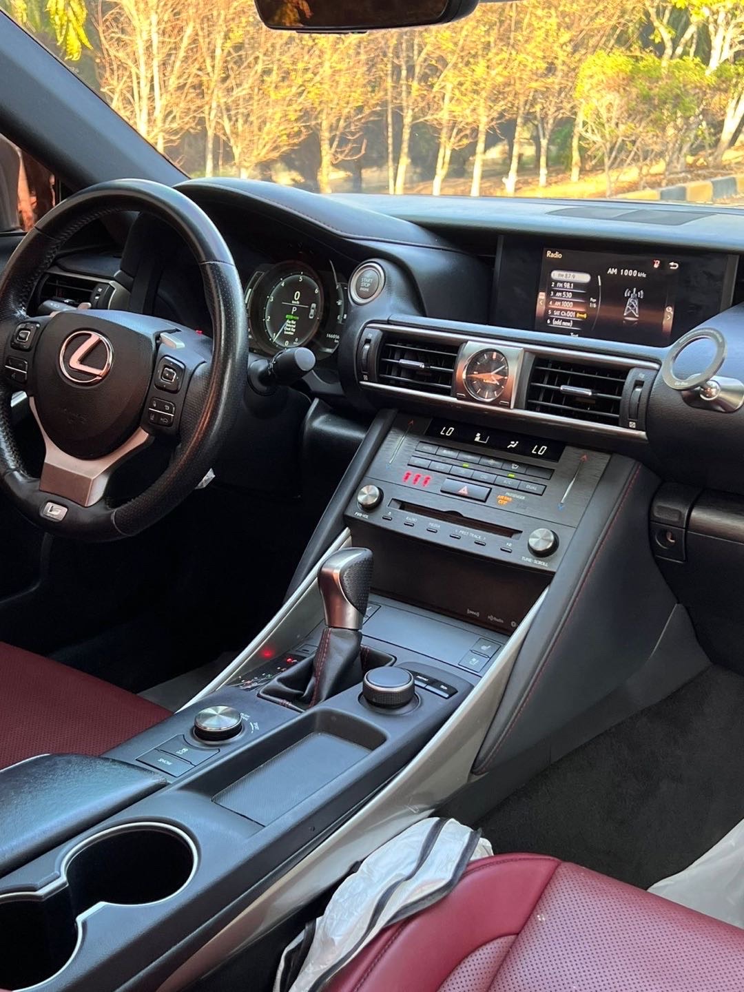 2019 Lexus IS 300 thumbnail 8