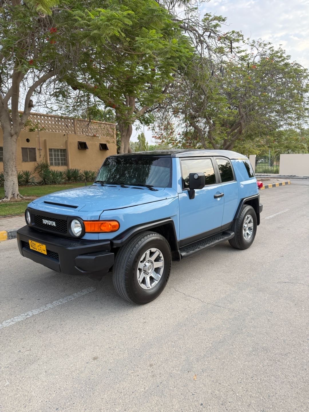 2008 Toyota FJ Cruiser Base thumbnail 5