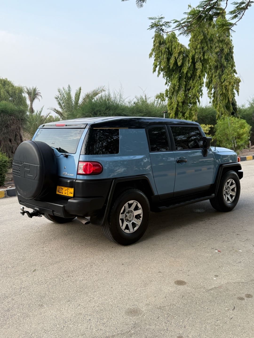 2008 Toyota FJ Cruiser Base thumbnail 9