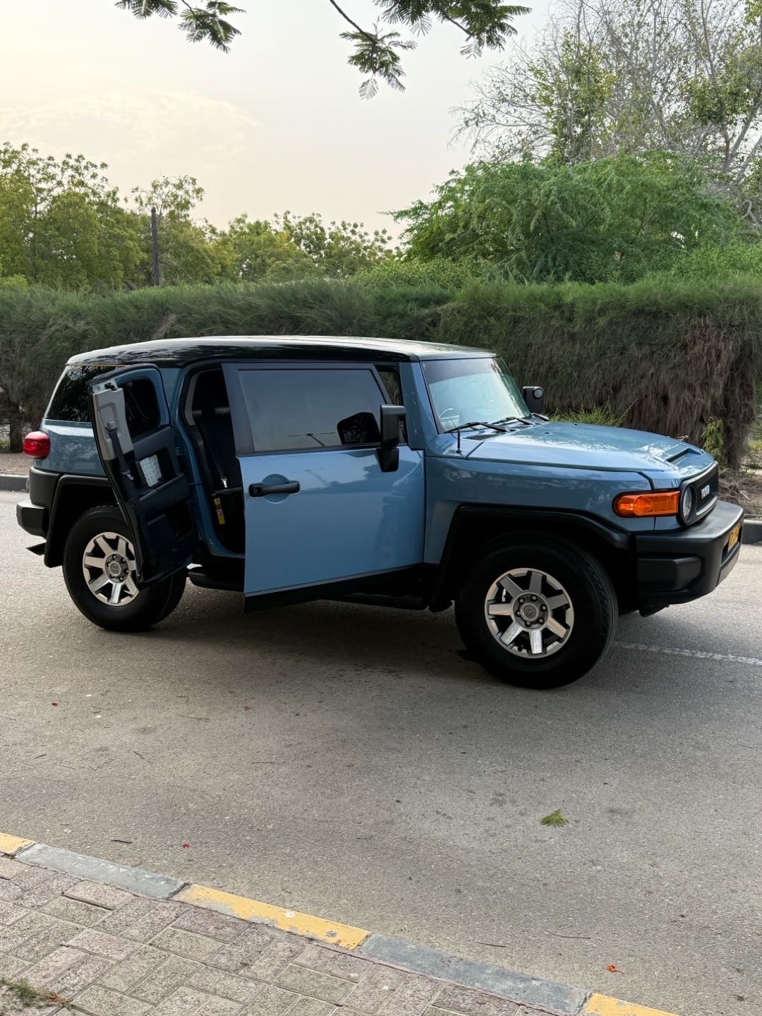 2008 Toyota FJ Cruiser Base thumbnail 15