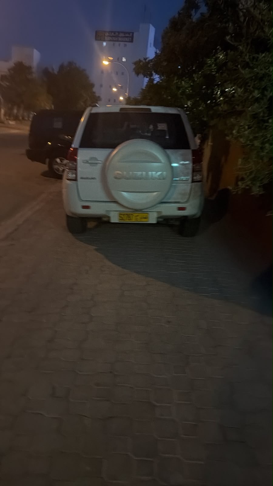 2011 Suzuki Vitara thumbnail 3