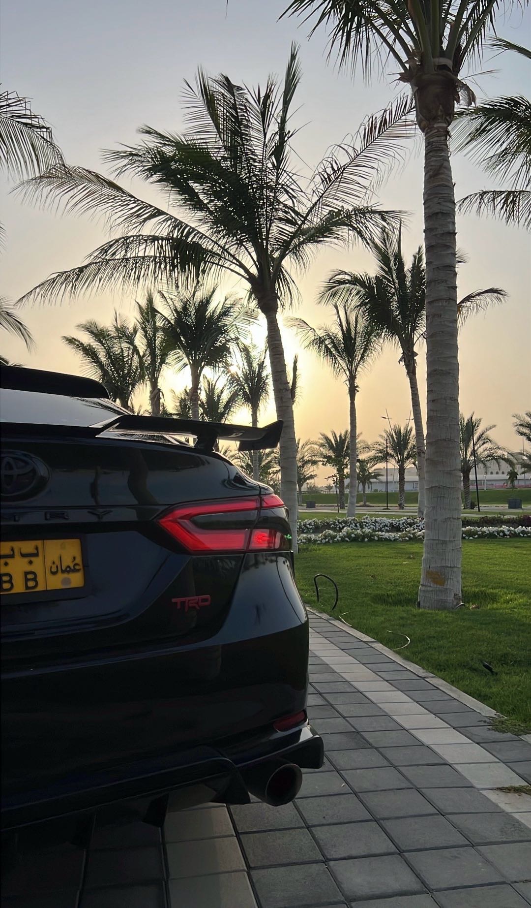 2020 Toyota Camry TRD thumbnail 6