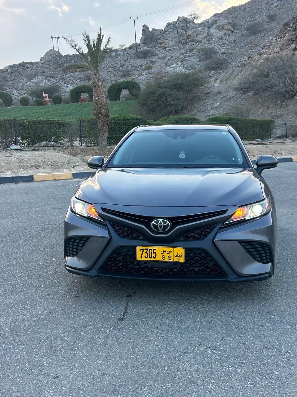 2019 Toyota Camry SE thumbnail 6